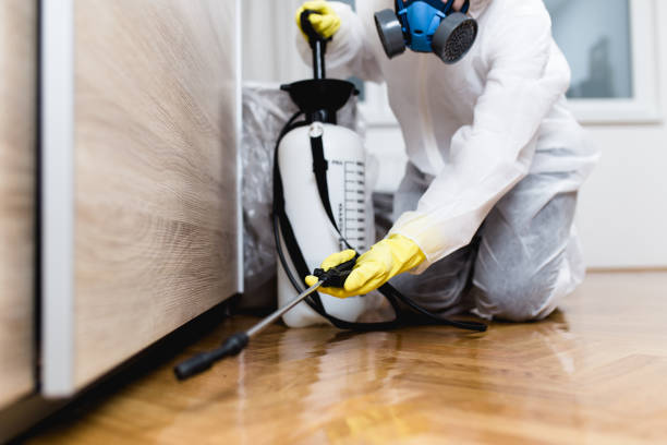 Best Best Pest Control Companies  in Lapwai, ID