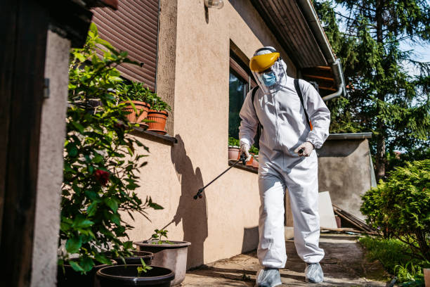 Best Residential Pest Control  in Lapwai, ID