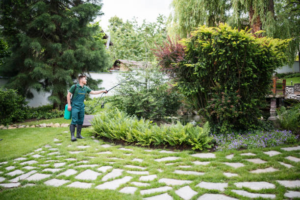 Best Wasp Removal Services  in Lapwai, ID