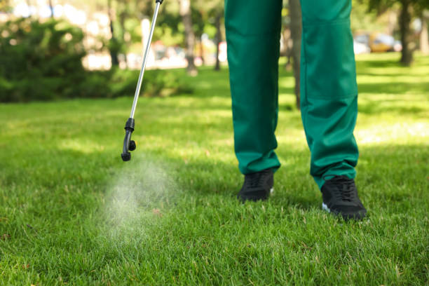Best Pest Inspection Near Me  in Lapwai, ID