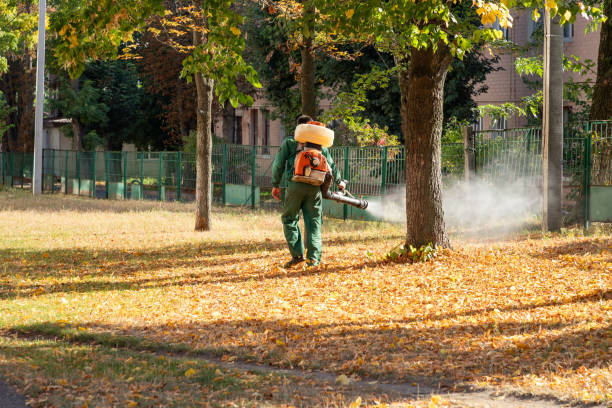 Best Pest Prevention Services  in Lapwai, ID