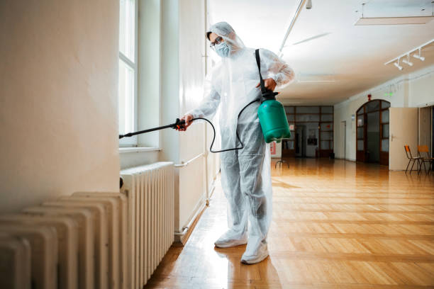 Best Affordable Pest Control Services  in Lapwai, ID